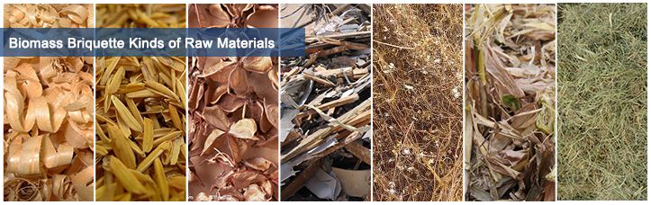 Biomass Waste for Briquettes Making