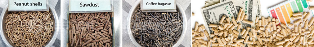 biomass pelletizing 101: turning waste into value