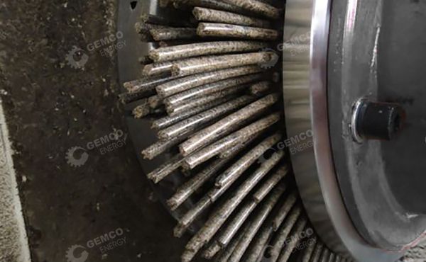 Pelletizing Process of Ring Die Pellet Mill