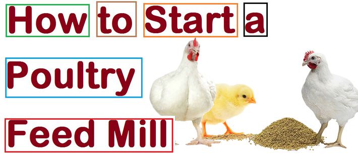 Small Poultry Feed Machinery Price