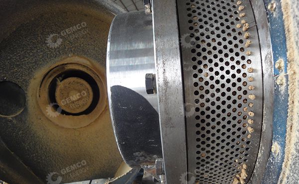 Wood Pelletizing of Ring Die Pellet Mill